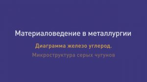 Лекция 23. Диаграмма железо углерод. Микроструктура чугунов