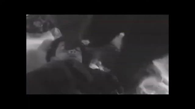 Буктрейлер о книге Полевого Повесть о настоящем человеке