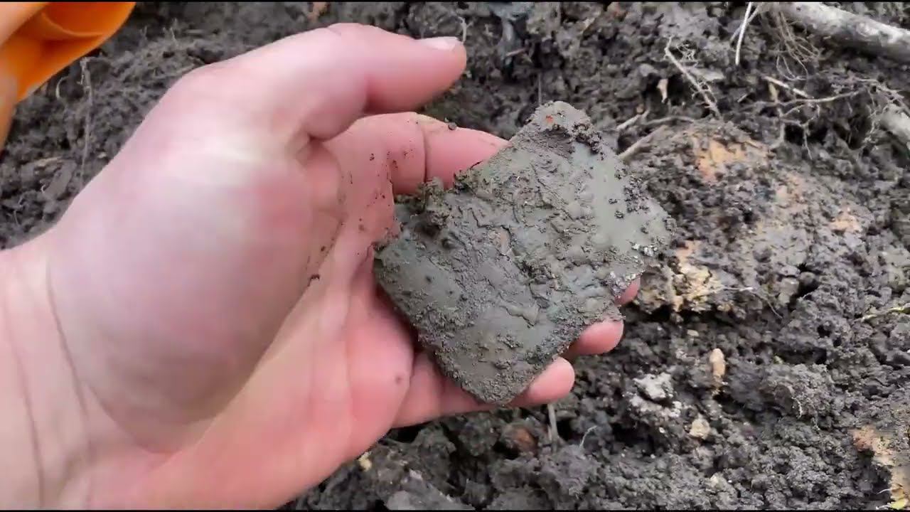 Вышел прогуляться ,нашел находки !#леснойскобарь#2022 #лес#коп