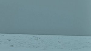 Человек влюблённый в Сахалин