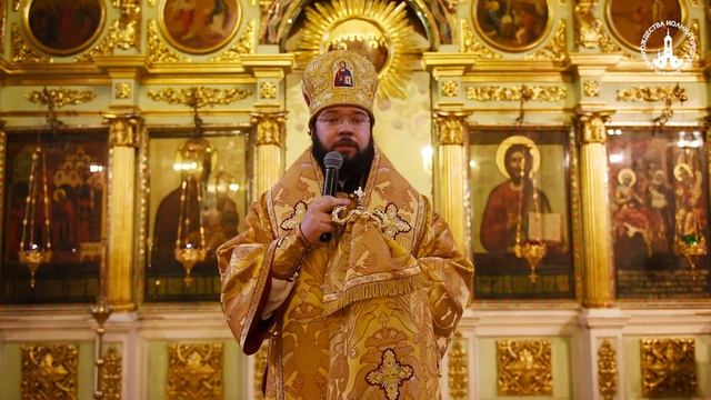 Проповедь епископа Богородского Антония в Неделю 28-ю по Пятидесятнице смотреть онлайн