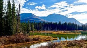 Мачеха наняла бывшего зека, чтобы он ей помог избавиться от ребенка инвалида, но что-то пошло не та