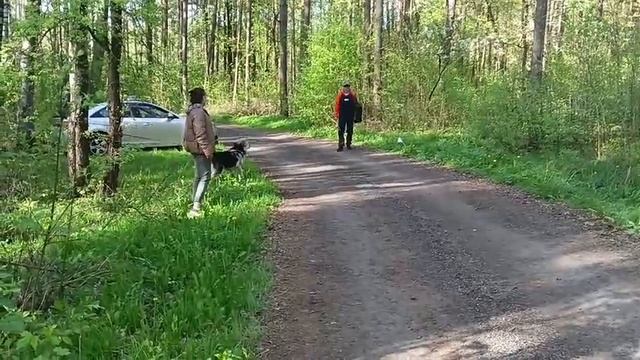 ВЕО ЛАВБРИЛ ЛАНДЖИНА. смотреть онлайн