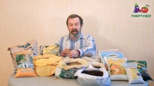 КАК ВЫРАЩИВАТЬ НА ГЛИНИСТОЙ ПОЧВЕ???