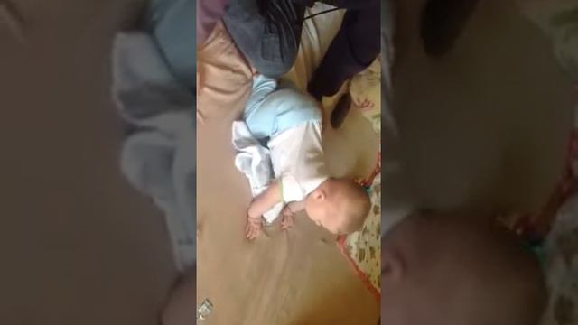 Четвереньки