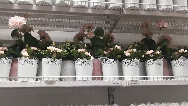 ИКЕА: Цветочные новинки на прилавке шведского магазина
