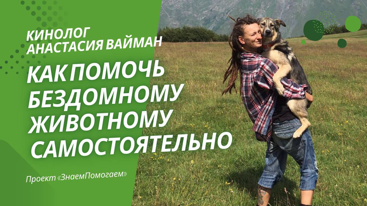 Кинолог Анастасия Вайман: Как помочь бездомному или потерявшемуся животному самостоятельно