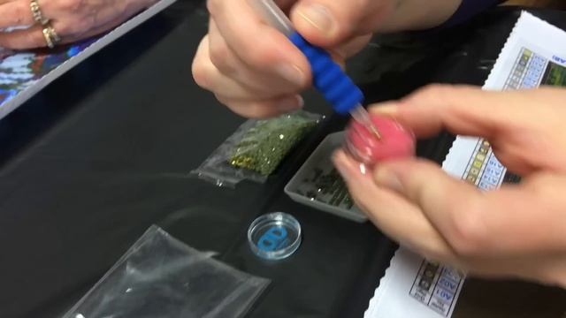 Diamond Dotz Introduction смотреть онлайн