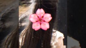 новая цыганская песня тёмными ночами гуляли с тобой🥀❤