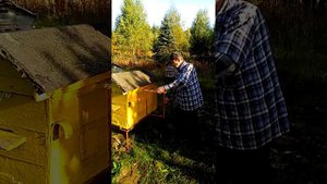 Улей Казимира Левицкого на вертикальную рамку и на 1 семью.