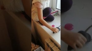 Домашние, декоративные крысы.