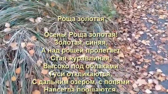 Стихи про осень детям (3-6) лет #стихи#осень