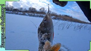 ПОЧЕМУ иногда ловлю -  прямо среди коряжника. Зимняя рыбалка со льда в Воронежской области.