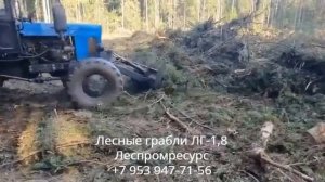 Лесные грабли ЛГ-1,8 Леспромресурс в работе на МТЗ-82