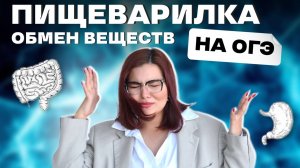 🥩Обмен веществ| пищеварительная система| ОГЭ и ЕГЭ| 26 задания ОГЭ