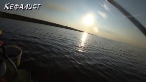 #КЕФАЛИСТ! Как ловить кефаль в заброд. Кефаль на спиннинг: пеленгас, долгонос, сингиль