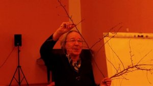 Обрезка и формирование плодовых деревьев и кустарников. Часть 3.