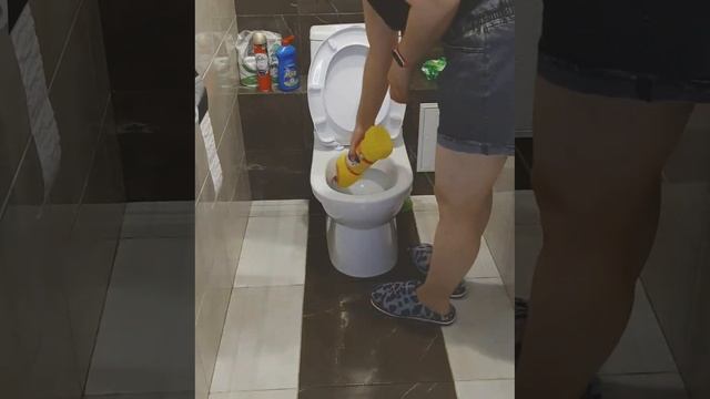 Ежедневная уборка туалета