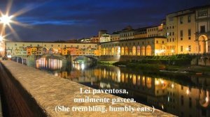 Vide Cor Meum - libretto in Italian / Latin with translation.