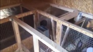 Разведение кроликов в домашних условиях на глубокой несменяемой подстилке.