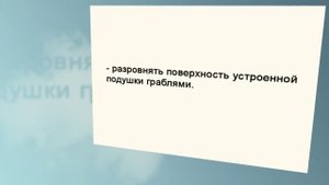 Дорожки на даче из дерева. Стоит ли делать?