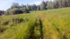 трехколесный каракат.mp4