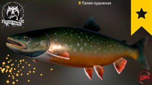 ПАЛИЯ ЛУДОЖНАЯ -  АРХИПЕЛАГ ⭐ЮБИЛЕЙНАЯ 100 ⭐ РУССКАЯ РЫБАЛКА 4 |  RUSSIAN FISHING 4@Z-B-G