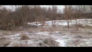 КОП НА ФЕРМЕ. НАСТРОЙКИ GARRET ACE 250