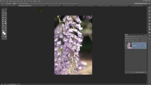 Create a Grid Collage in Photoshop