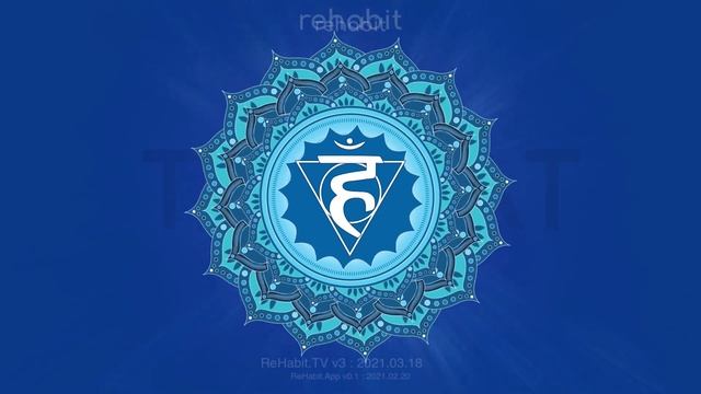 v3 (Energy Bath) Joe Dispenza Blessing The Energy Centers 7 Chakras Sound Bath Color Therapy смотреть онлайн