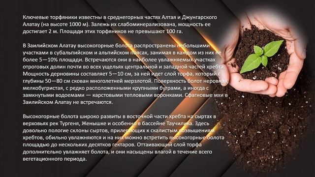 Перспективы производства удобрений и почвосмесей из торфа Казахстана
