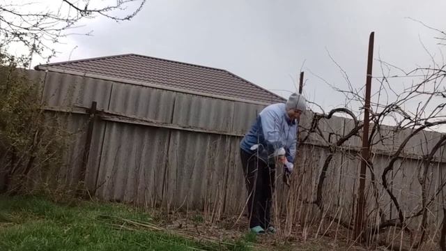 Унылое настроение.//Живём в станице.//Что у нас на ужин?! смотреть онлайн