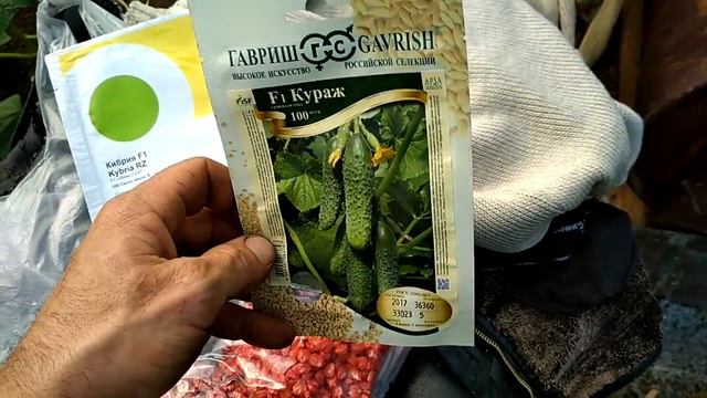 Огурцы для открытого грунта, кукуруза. смотреть онлайн