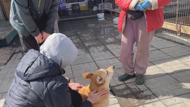 ЧТО ОТЧЕБУЧИЛ ЕРЕМЕЙ НА СМОТРИНАХ смотреть онлайн
