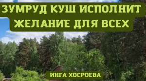 ЗУМРУД КУШ ИСПОЛНИТ ЖЕЛАНИЕ. ДЛЯ ВСЕХ. ВЕДЬМИНА ИЗБА ▶️ ИНГА ХОСРОЕВА.mp4