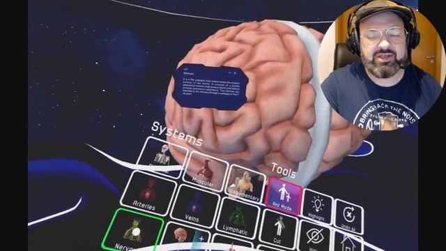 Human Anatomy VR - Playstation VR - Review em Português (BR) смотреть онлайн