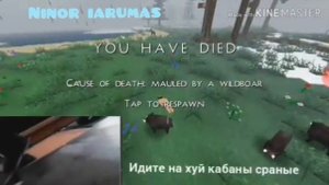 Злой Корейский Геймер играет в survivalcraft 2
