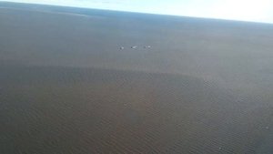 Поселок Новый Порт полуостров Ямал.