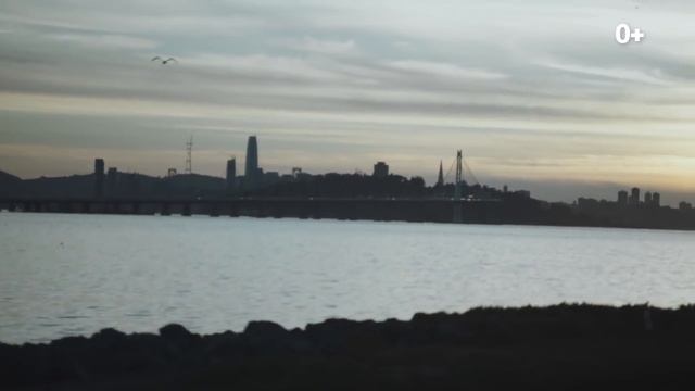 Кубик за Кубиком мы Становимся Ближе. Аманда - LEGO DUPLO