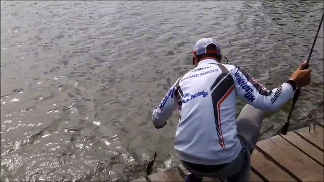 Тест-драйв воблера Shadow Rap® Shad от Rapala! Новинка 2016 года! смотреть онлайн