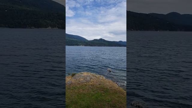 Orcas Island 2019 Ferry(4)