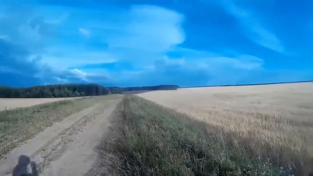 Мой дом. ГГПЛ приборостроения смотреть онлайн