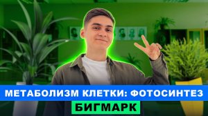 Метаболизм клетки: Фотосинтез | Интенсив БигМарк | Марк Ламарк