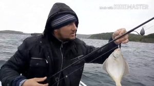 Камбала, бычок на Русском острове. Летняя рыбалка в Приморье. Владивосток. 16.06.2018.