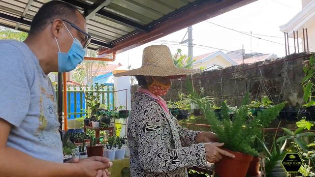 Plan mo ba maging Plantita o Plantito HALAMAN TIPS ito'y para sa inyo смотреть онлайн