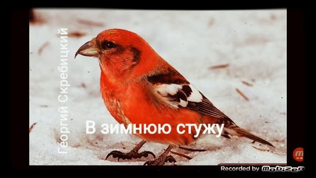 В ЗИМНЮЮ СТУЖУ ? рассказ ? аудио ? автор Георгий Скребицкий ?