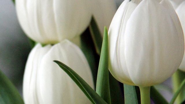 Детдомовец случайно нашел свою мать. Но услышал лишь «ты ошибка молодости, опять ты  не вовремя.» смотреть онлайн