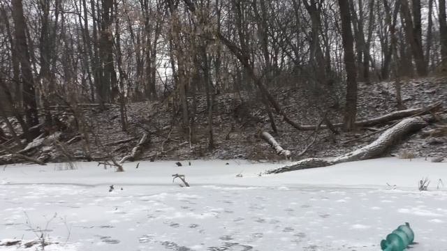 ЗИМНЯЯ РЫБАЛКА В ЯНВАРЕ на реке. Ловля плотвы,густеры на мормышку.