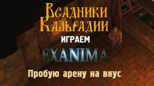 Арена в Exanima. Кое-как распробовал боевку