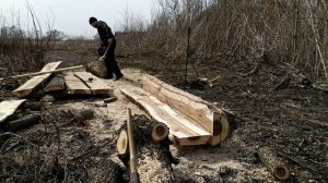 Распиливание Досок бензопилой из цельного бревна!